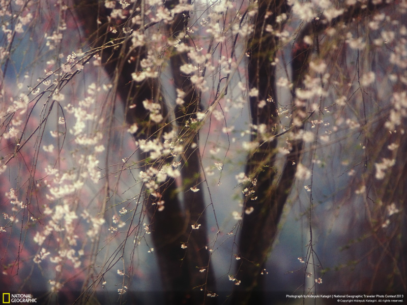 Illustration for article titled Spectacular winning images from Nat Geo's 2013 travel photo contest